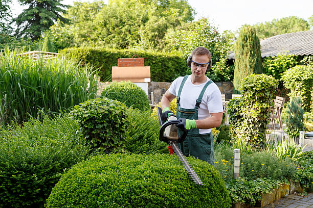 Best Lawn Mowing  in Hurley, WI